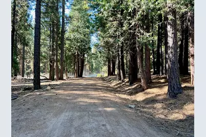 1651 Woodpecker Road, Clio, CA 96106 - Photo 2