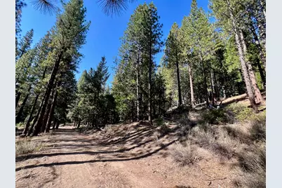 1651 Woodpecker Road, Clio, CA 96106 - Photo 12