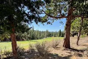 202 Morning Star, Portola, CA 96122 - Photo 1