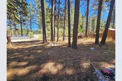 5929 Iron Horse Drive, Portola, CA 96122 - Photo 22