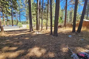5929 Iron Horse Dr, Portola, CA 96122 - Photo 22