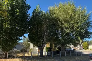 197 E Riverside Ave, Portola, CA 96122 - Photo 2