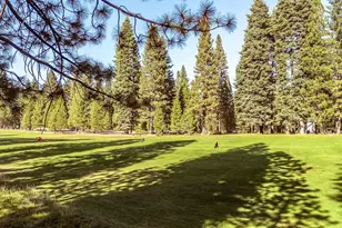107 Slim Dr, Lake Almanor, CA 96020 - Photo 28