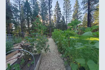 1699 Kerjackery Road, Quincy, CA 95971 - Photo 34