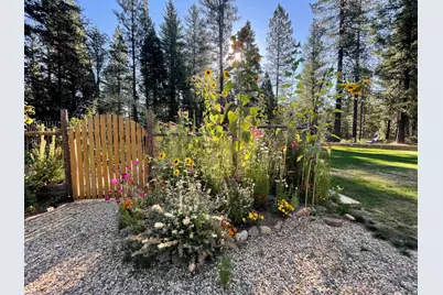 1699 Kerjackery Road, Quincy, CA 95971 - Photo 30