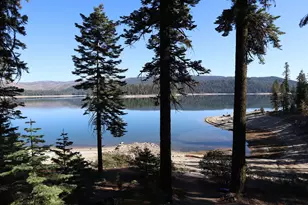 262 Mountain Ash Trail, Bucks Lake, CA 95971 - Photo 4