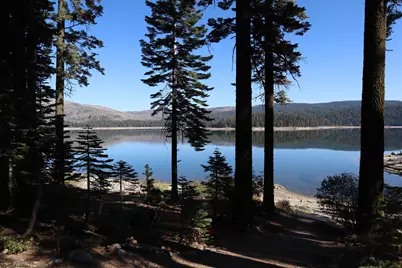 262 Mountain Ash Trail, Bucks Lake, CA 95971 - Photo 2
