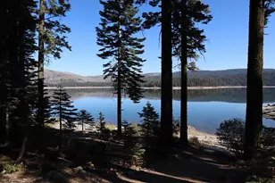 262 Mountain Ash Trail, Bucks Lake, CA 95971 - Photo 2
