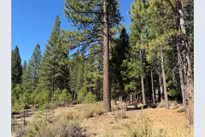 119 Saddle Ridge Road, Clio, CA 96106 - Photo 4