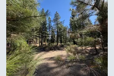 119 Saddle Ridge Road, Clio, CA 96106 - Photo 6