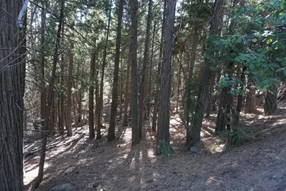 2449 Sugar Pine Trail, Quincy, CA 95971 - Photo 2