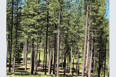 302 Boulder Drive, Clio, CA 96106 - Photo 4