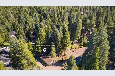 3862 Mary Ann Lane, Lake Almanor, CA 96137 - Photo 44