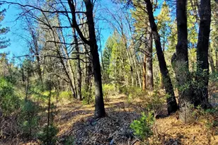 59791 Hwy 70, Blairsden, CA 96103 - Photo 1