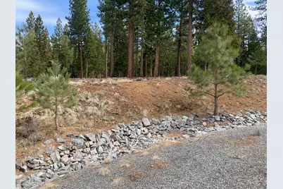 119 Smith Peak Drive, Portola, CA 96122 - Photo 1