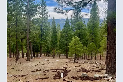 2999 Kristen Way, Clio, CA 96106 - Photo 1