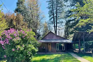 126 Standart Mine Rd, Greenville, CA 95947 - Photo 1