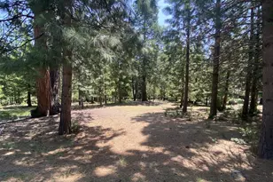 1018 Timber Ridge Rd, Lake Almanor, CA 96137 - Photo 1