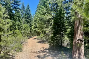 910 Mountain Dr, Johnsville, CA 96103 - Photo 1