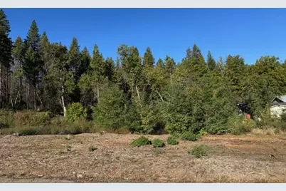 171 Standart Mine Road, Greenville, CA 95947 - Photo 1