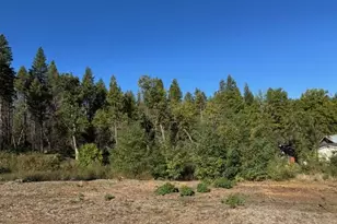 171 Standart Mine Rd, Greenville, CA 95947 - Photo 1