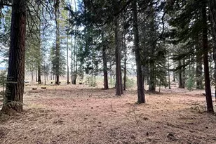 304 Osprey Loop, Chester, CA 96020 - Photo 1