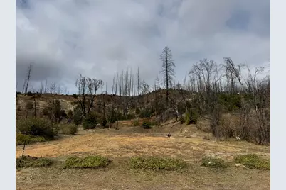 630 Main Street, Greenville, CA 95947 - Photo 1