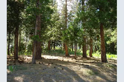 43 Snowbush Way, Portola, CA 96122 - Photo 1