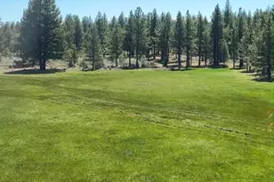 Xxxx Doyle Grade, Chilcoot, CA 96105 - Photo 1