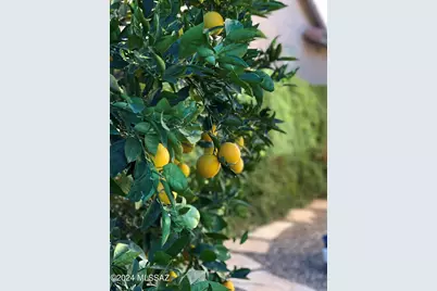 2442 W Tom Watson Drive, Tucson, AZ 85742 - Photo 36