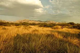 Lot 16 N Dragoon Ranch Rd, Saint David, AZ 85630 - Photo 16