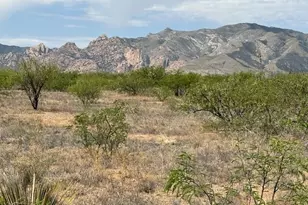 Tbd W Cochise 7 49 Acres Way, Cochise, AZ 85606 - Photo 1