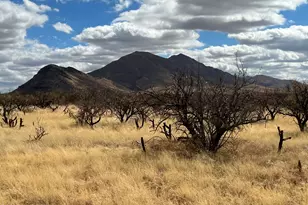 Tbd Camino Nacozari/ Camino Talave, Tubac, AZ 85646 - Photo 1