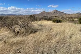 1121 Hebilla Ct, Rio Rico, AZ 85648 - Photo 1