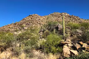 14562 N Dove Canyon Pass, Marana, AZ 85658 - Photo 6