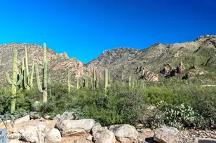 6655 N Canyon Crest Dr, Tucson, AZ 85750 - Photo 26