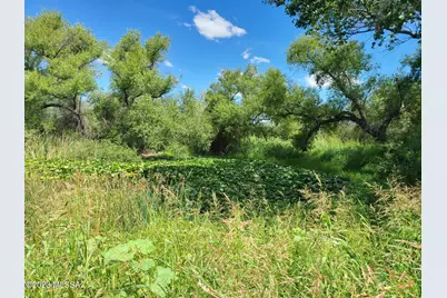 Curtis Rd - Curtis Farms Lot 2 #-, Saint David, AZ 85630 - Photo 1