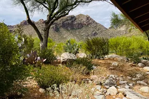 7601 N Calle Sin Envidia, Tucson, AZ 85718 - Photo 30