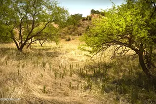 206 Tanglehead Ln, Patagonia, AZ 85624 - Photo 1