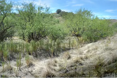 190 Tanglehead Lane #Lot 25, Patagonia, AZ 85624 - Photo 1
