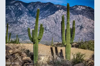 478 W Granite Gorge Drive #562, Oro Valley, AZ 85755 - Photo 1