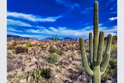 478 W Granite Gorge Drive #562, Oro Valley, AZ 85755 - Photo 4
