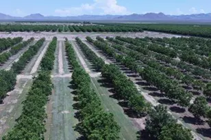 2975 N Indian Springs Rd, San Simon, AZ 85632 - Photo 24