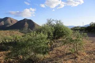 164 Circulo Frutas, Rio Rico, AZ 85648 - Photo 1