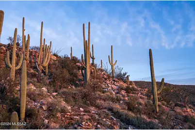 12959 E Cabeza De Vaca #Lot A, Tucson, AZ 85749 - Photo 24
