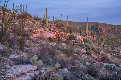 12989 E Cabeza De Vaca #Lot B, Tucson, AZ 85749 - Photo 16