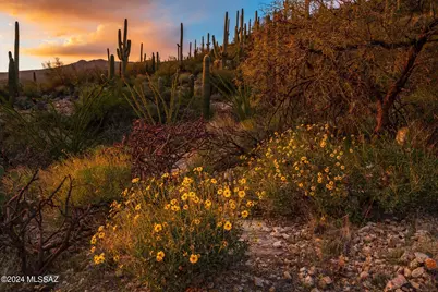 13013 E Cabeza De Vaca #Lot C, Tucson, AZ 85749 - Photo 22