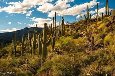 12969 E Cabeza De Vaca #Lot D, Tucson, AZ 85749 - Photo 14