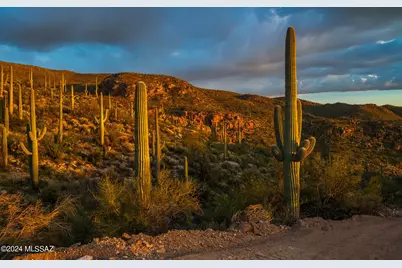 12969 E Cabeza De Vaca #Lot D, Tucson, AZ 85749 - Photo 22