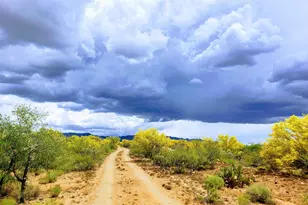 16370 W Renner Ave, Tucson, AZ 85736 - Photo 1